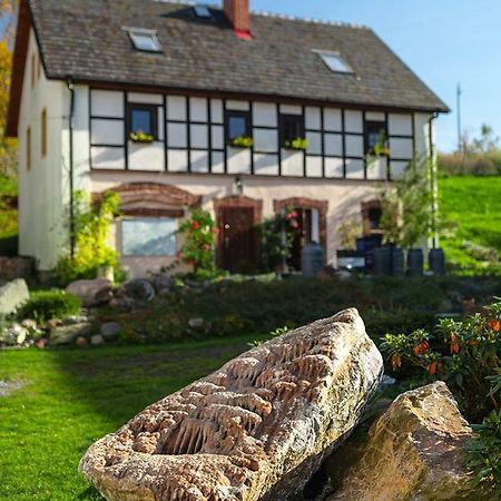 Winnica Agat Schönau an der Katzbach Exterior foto